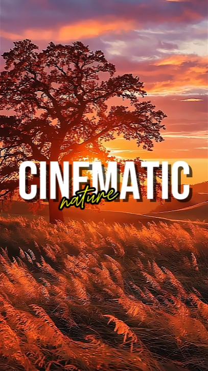 CINEMATIC NATURE