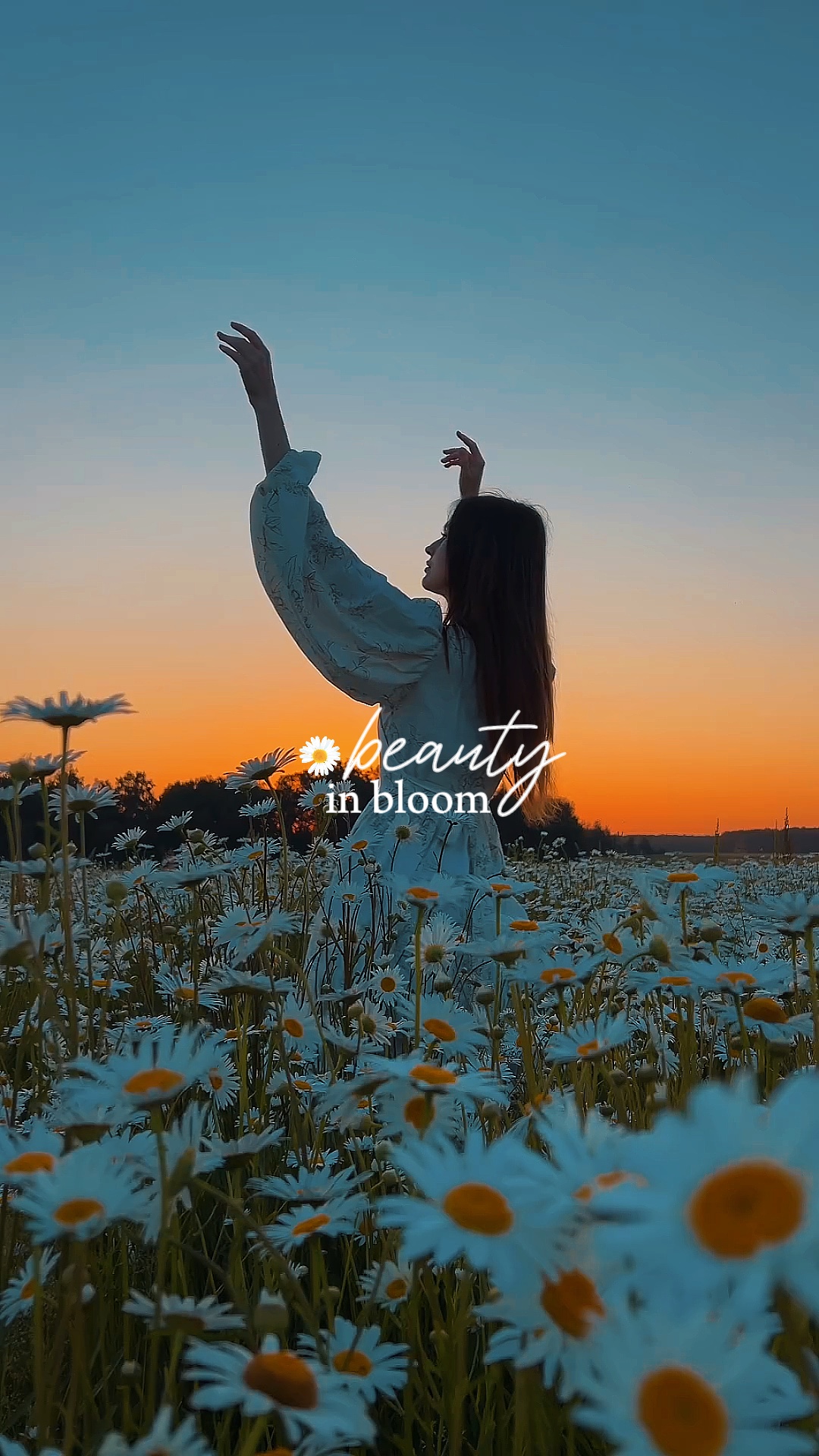 Beauty in bloom