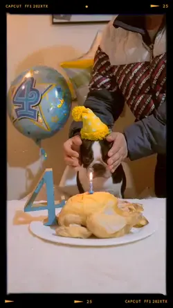 Touching Retro Bday