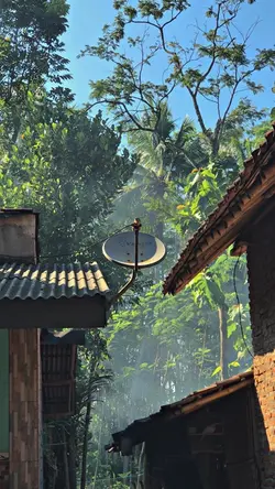 1VID JERNIH