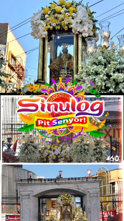 Viva Pit Senior
