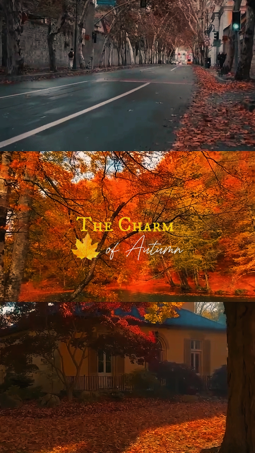 ANG KATANGIAN NG AUTUMN