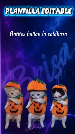 Gatitos la calabaza 