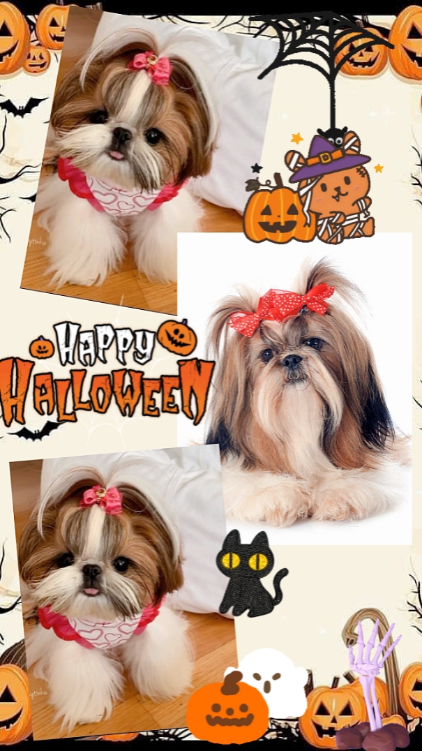 Feliz halloween 
