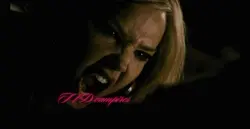 Tvd, twilight 💋