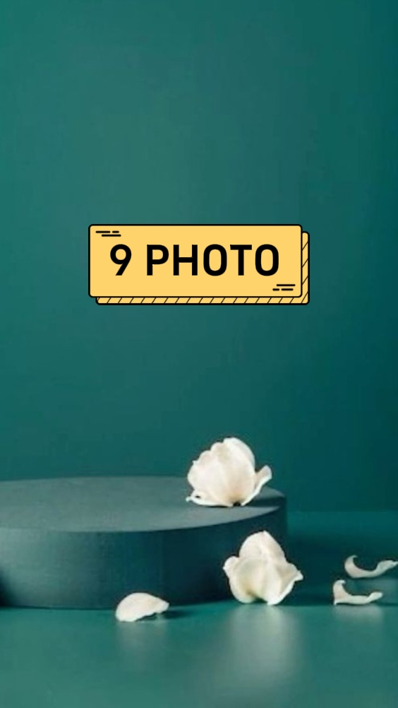 camera shutter