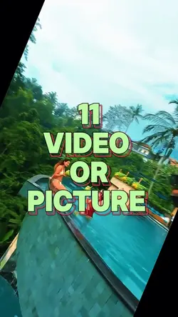 11 video or picture 