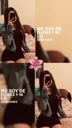 Gula 