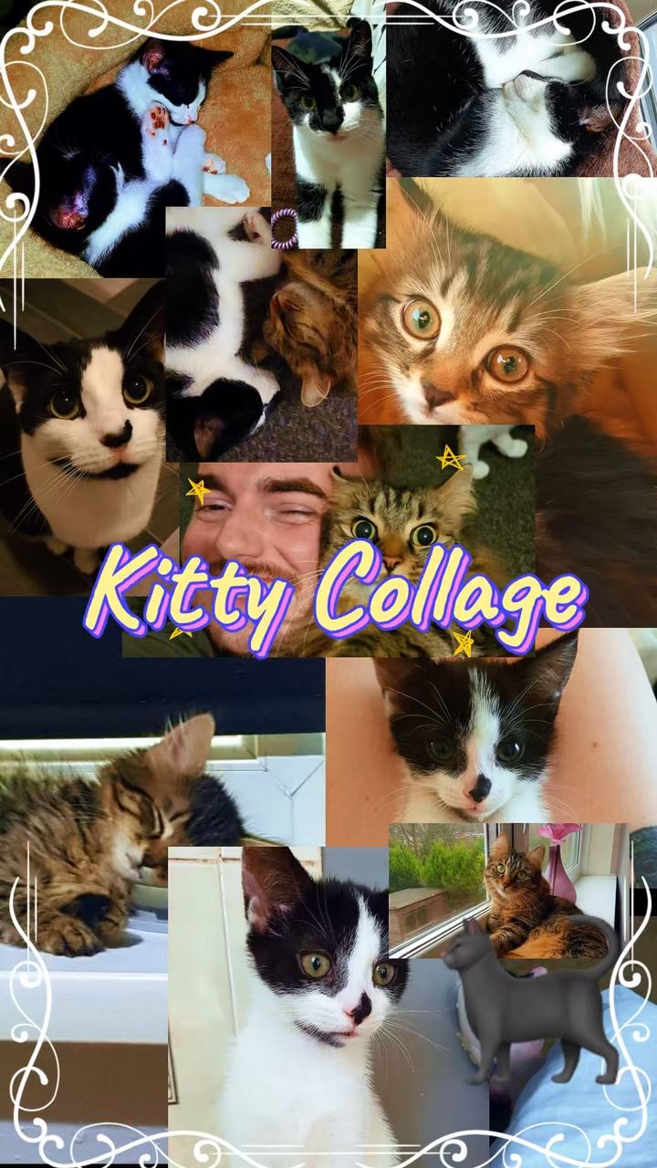 Kitty Kolaj