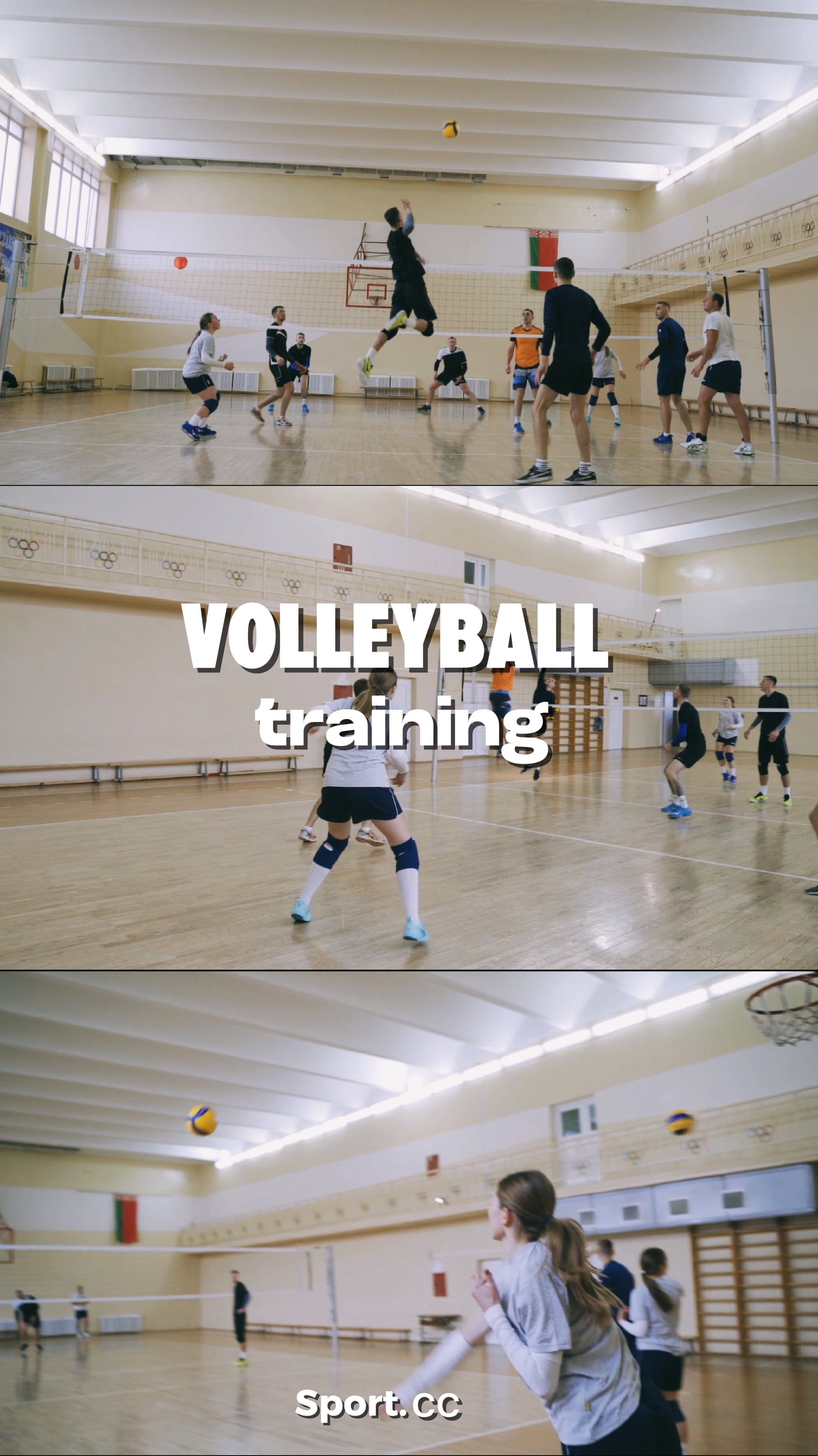 Volleyball training 