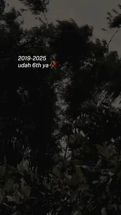 2019-2025 6th lalu