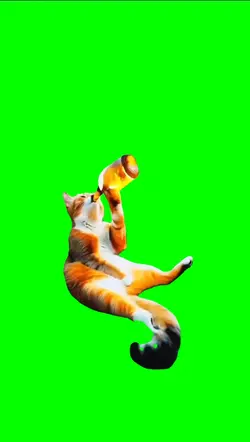 ORANGE CAT DRINKING