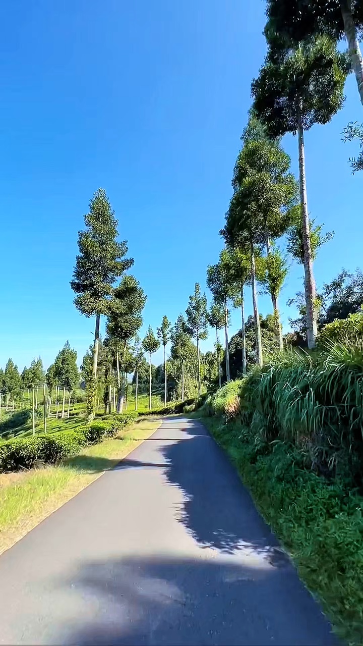 6 klip perjalanan darat 