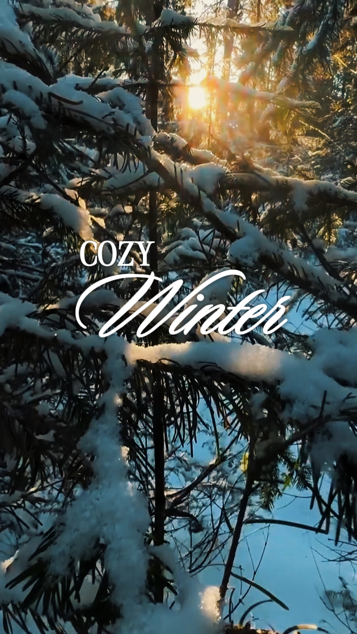 Cozy Winter