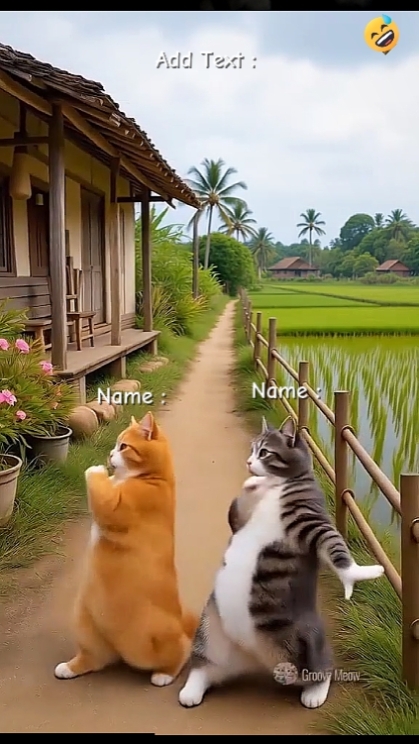 Tanzende Katze Niedlich