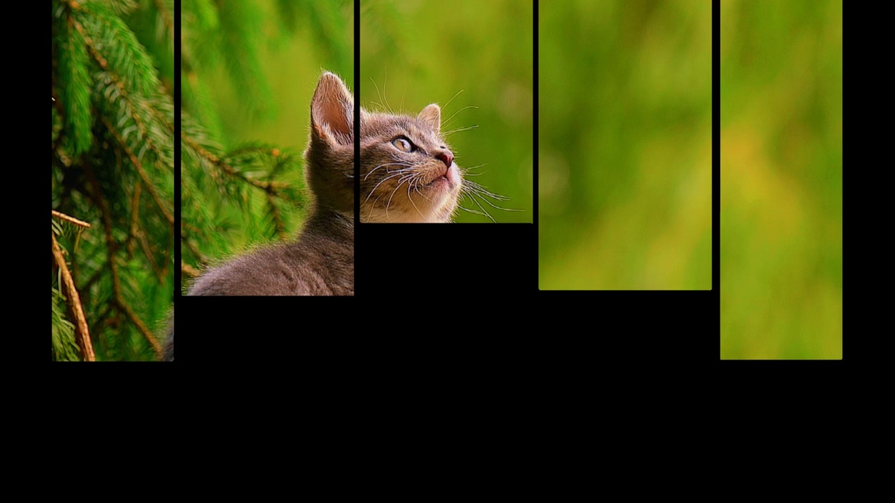 Paisagem 3 foto