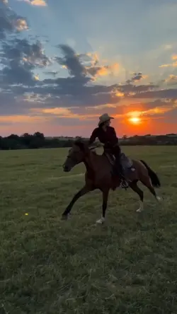 sunset galloping 