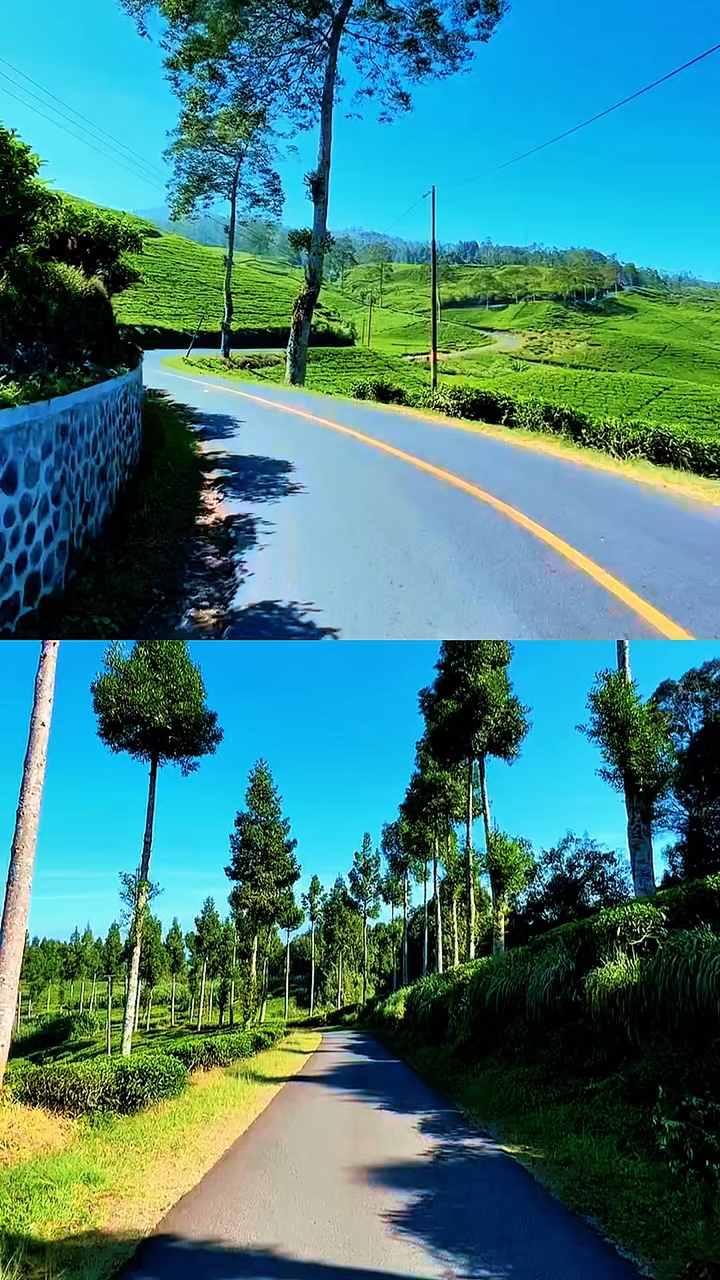 2 video 1 frame