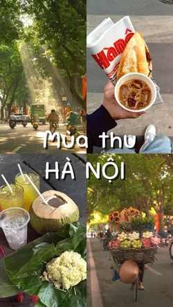Mùa thu hà nội 