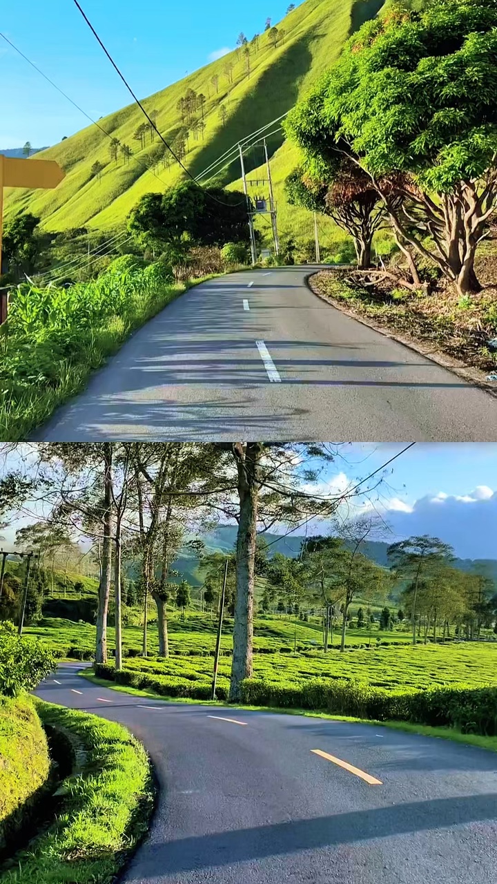 2 video collage