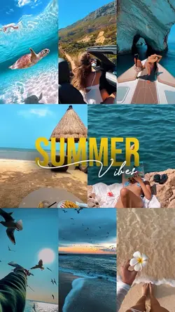 Summer Vibes