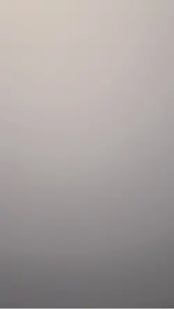 Dino