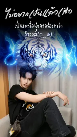 ไม่อยากเป็นแล้วเสือ