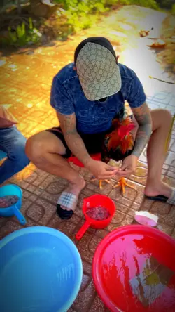 Video chill + màu