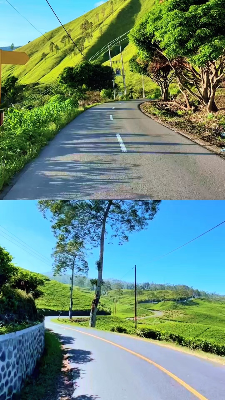 2 collages vidéo