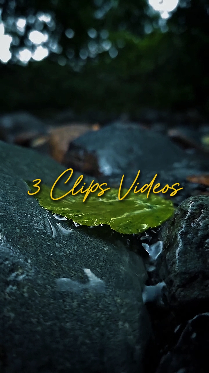Cinematic 3 Videos