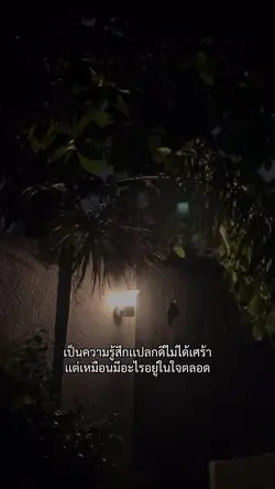 เเปลกเนาะๆ 
