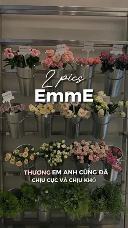 EmmE