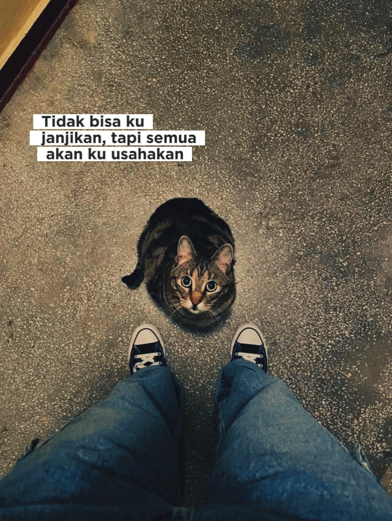 Kutipan