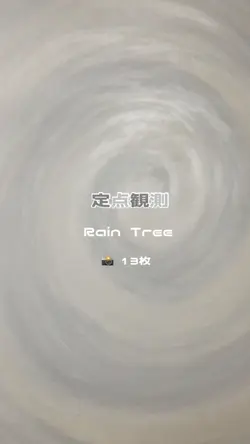 定点観測🔭
