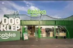 koncert pod żabką