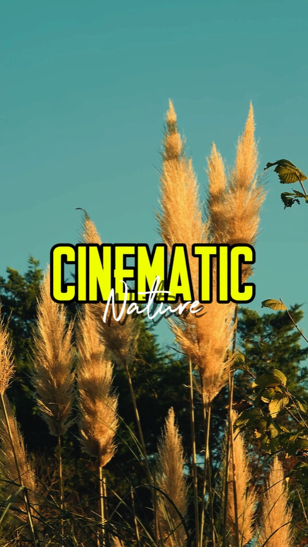 CINEMATIC NATURE