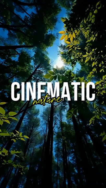 NATURE CINÉMATIQUE