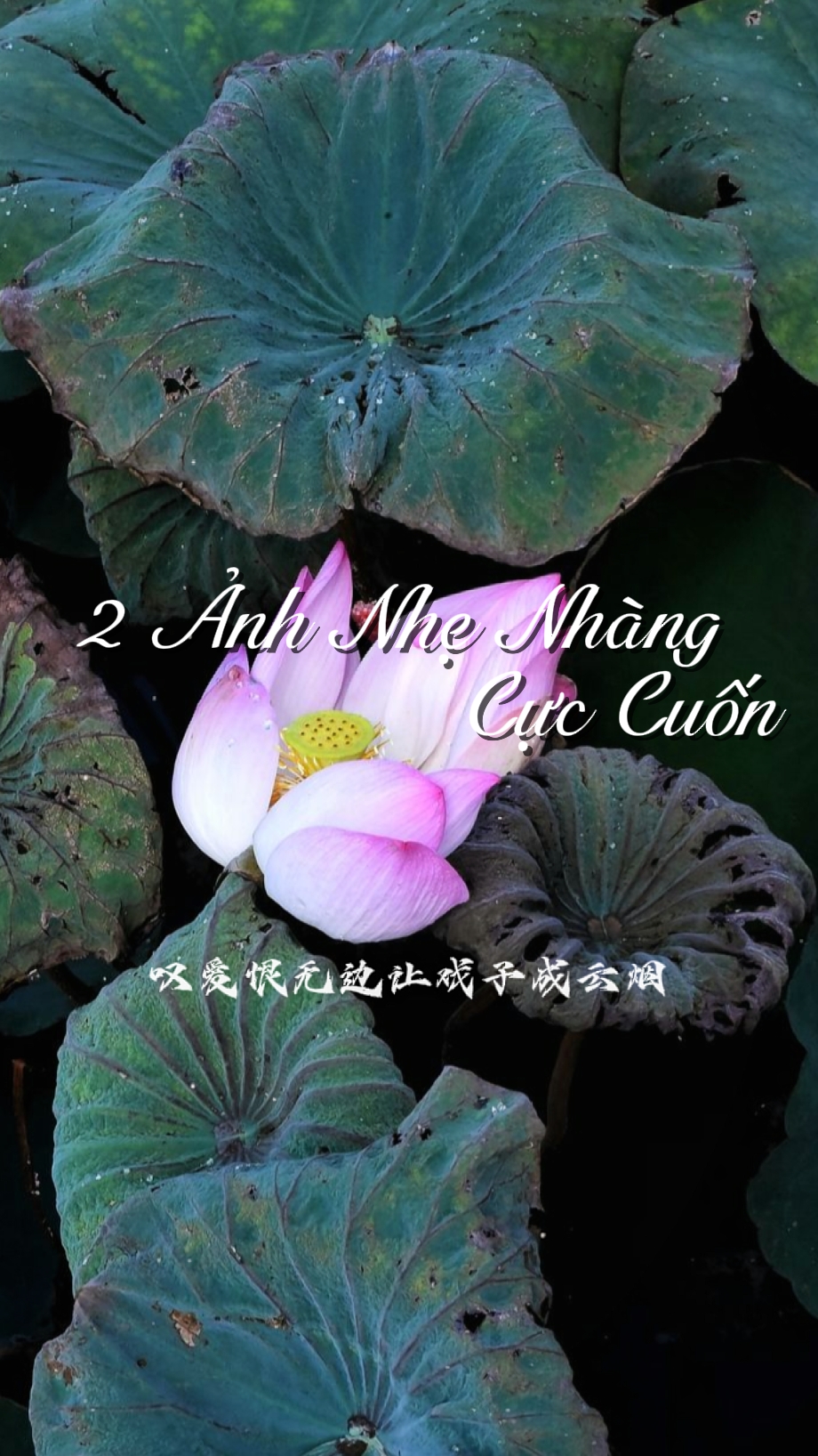 2 nh Nh￫ Nhàng 
