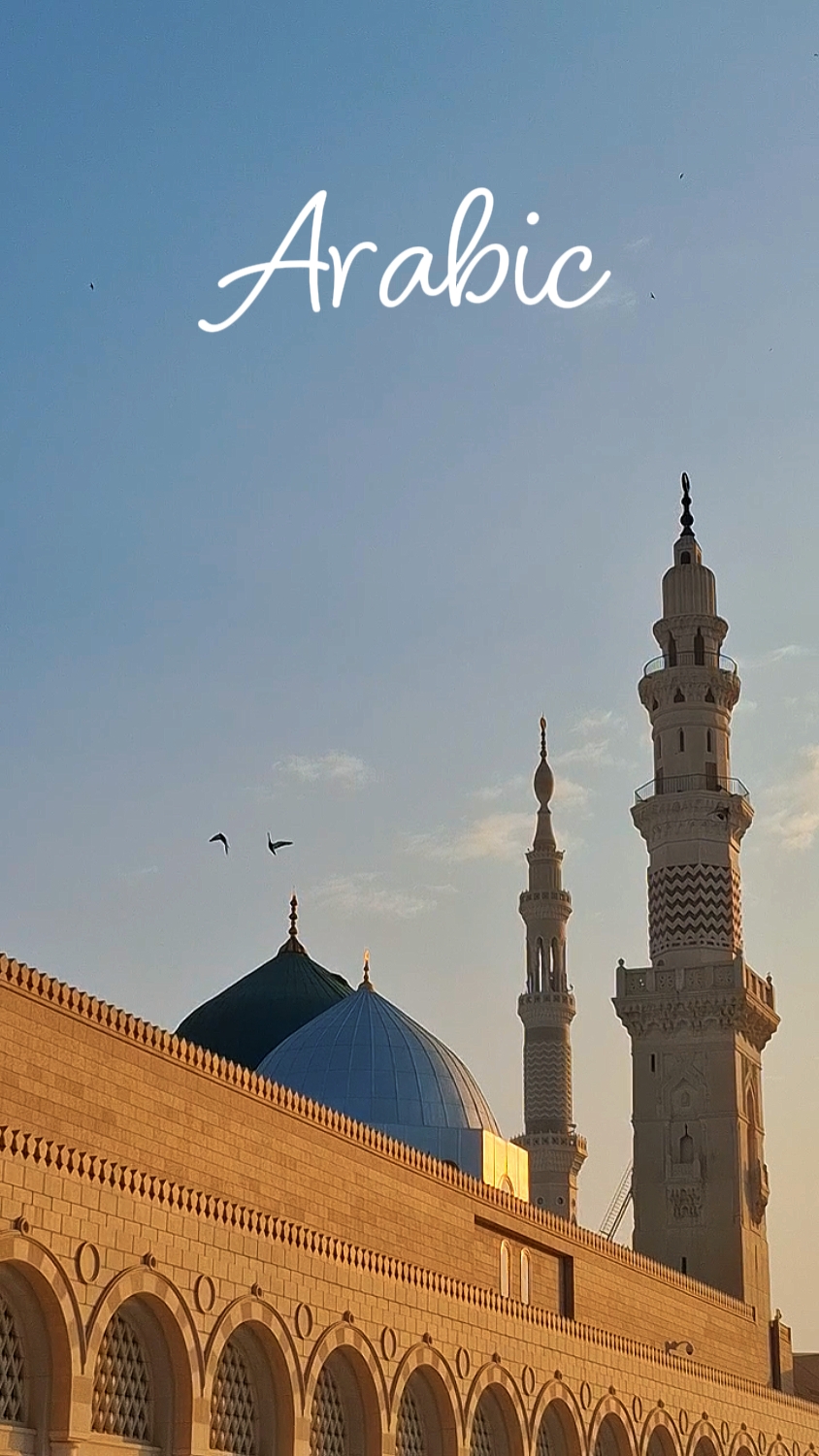 Arabic | Laukana