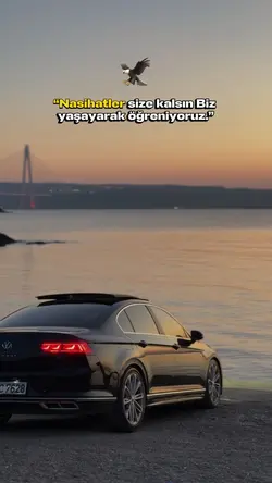 Şablonun kalitesi