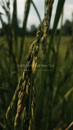 ถ่าจักคราว