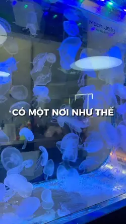 CÓ MỘT NƠI NHƯ THẾ