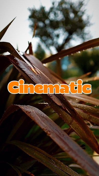 10 cinématiques vidéo