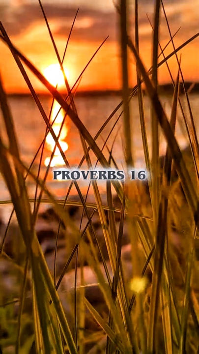 Provérbios 16-3