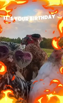 Happy birthda