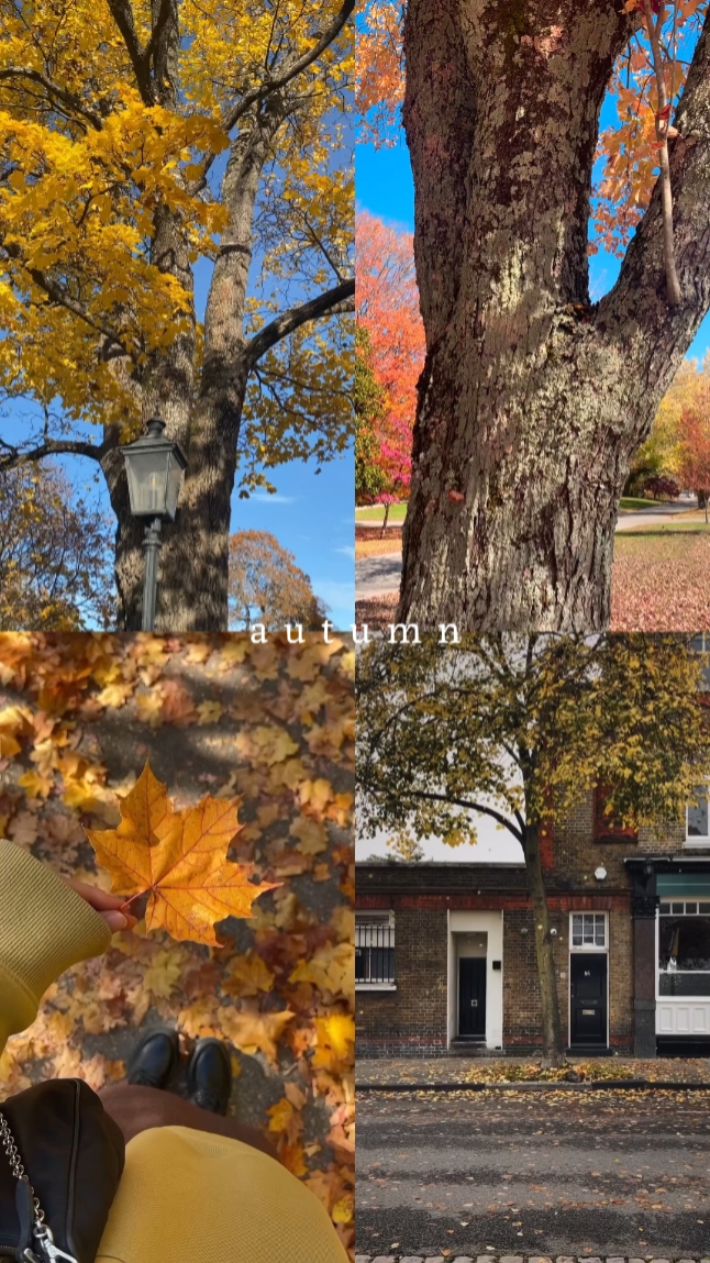 autumn