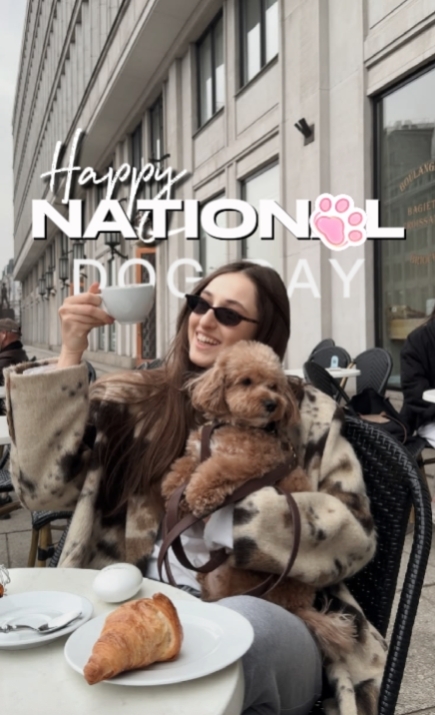 Nationaler Tag des Hundes