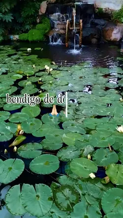 La magia de conectar