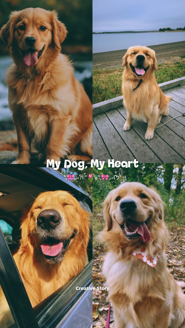 My Dog, My Heart