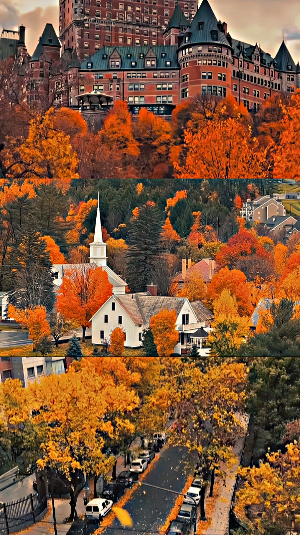 Autumn Dump